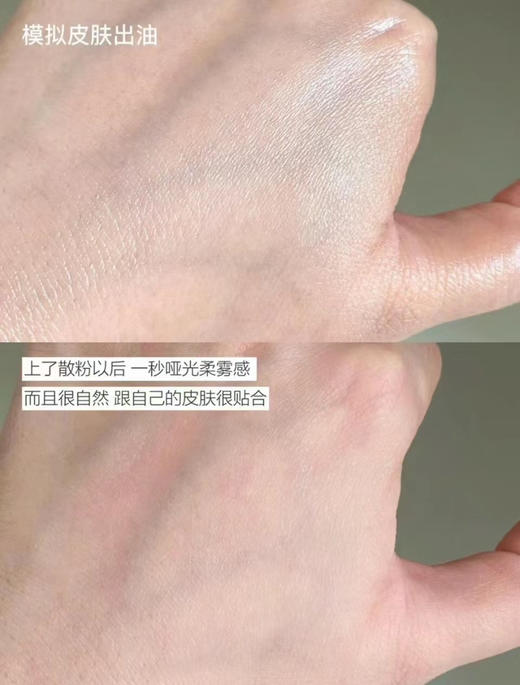 【美妆老师选择的散粉】MAKEUPFOREVER/玫珂菲清晰无痕蜜粉散粉8.5.g定妆高清 商品图4