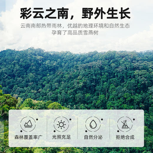 【杞里香雪燕100克】甄选云南雪燕 植物胶质植物非燕窝桃胶皂角米伴侣 商品图1