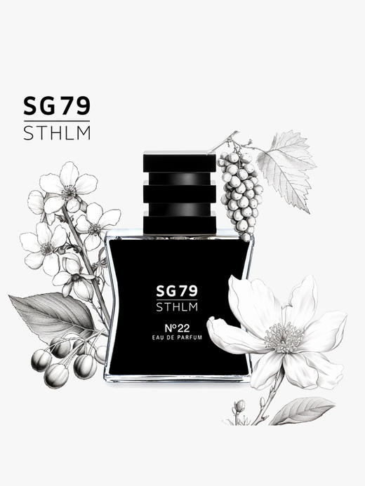 SG79｜N22 EDP 天际彩虹 [ 斯德哥尔摩的姽婳_ 浓香 ] 商品图3