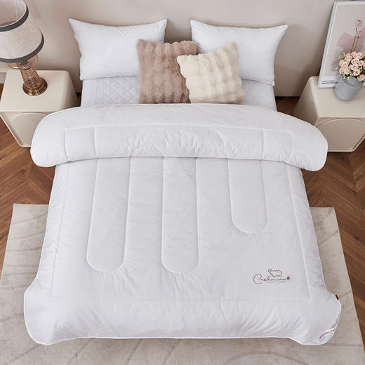 红蜻蜓 被子冬被双人澳毛纤维被芯-三明治羊毛冬被 商品图2