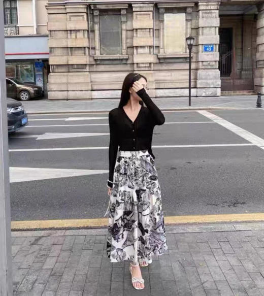 独家贵妇团D同款面料【千吉娜.水墨工艺半生裙】高级宝藏印花 都市小姐姐标配 商品图0