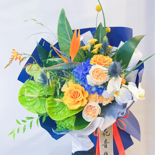 热带季风 商品图1