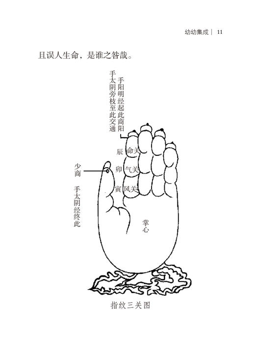 幼幼集成 上下册 随身听中医传世经典系列 清 陈复正 撰 中医学书籍中医临床基础理论入门医学书 中国医药科技出版社9787521430196 商品图4