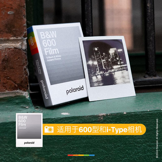 宝丽来（Polaroid）600型胶片 适用于600型相机、i-Type相机和NOW系列相机 商品图6