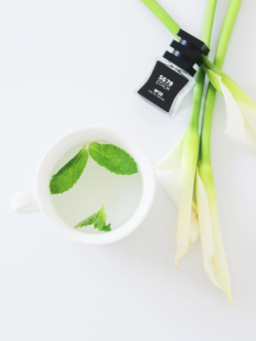 SG79｜N22 EDP 天际彩虹 [ 斯德哥尔摩的姽婳_ 浓香 ] 商品图6