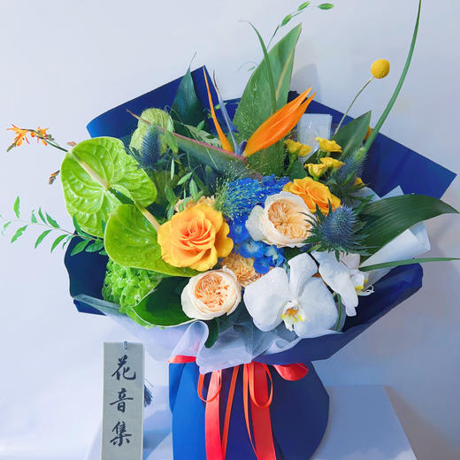 热带季风 商品图0