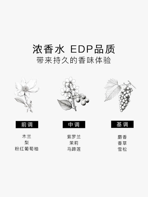 SG79｜N22 EDP 天际彩虹 [ 斯德哥尔摩的姽婳_ 浓香 ] 商品图5
