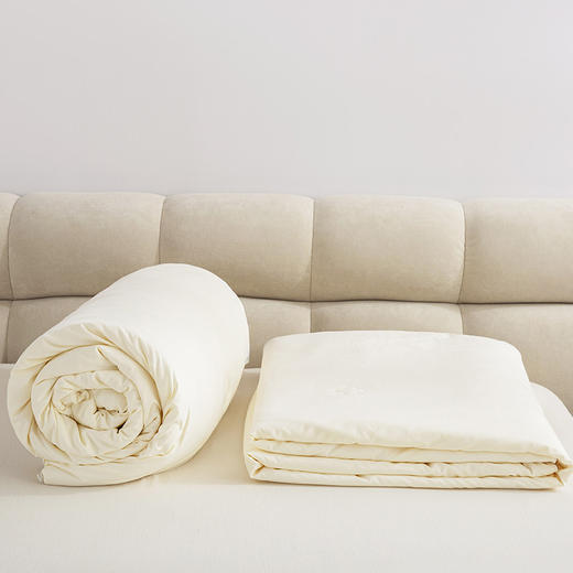 红蜻蜓 家纺纤维被子棉被冬被二合一拉链款保暖被芯春秋被-大豆子母被 商品图2