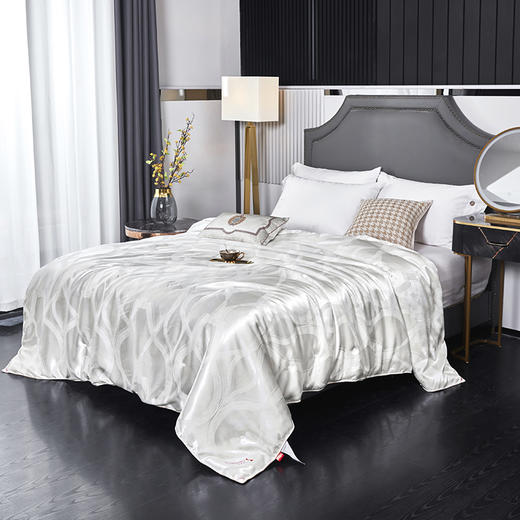 红蜻蜓蚕丝棉被学生宿舍双人冬被加厚保暖被子被芯-格韵蚕丝润肤冬被 商品图1