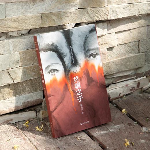 疼痛之子（《时间的仆人》作者蒯乐昊最新短篇小说集，一本“全龄段女性之书”，一封写给所有女性的情书） 商品图6