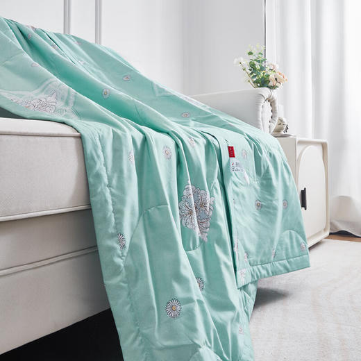 红蜻蜓 夏凉被-花溪 空调被春秋薄被子儿童午睡夏被夏季宿舍单人150*200cm 商品图4