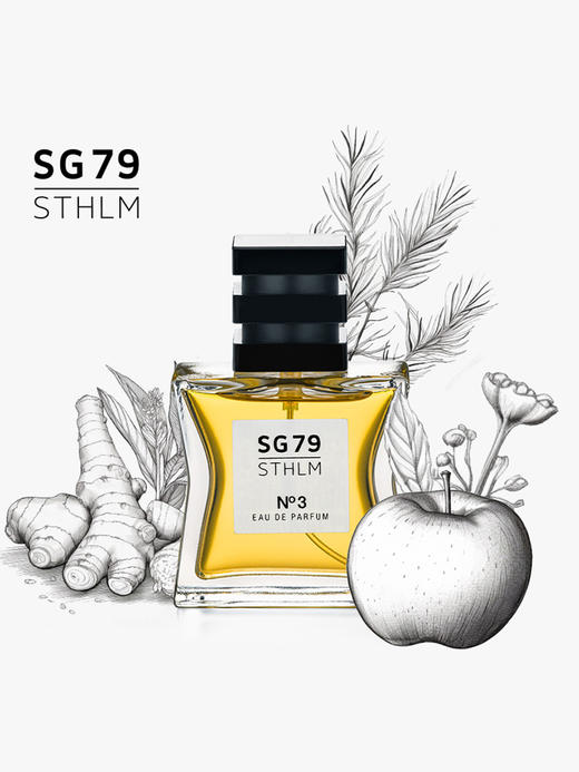 SG79｜N3 EDP 风中等待 [ 斯德哥尔摩的天空_ 浓香 ] 商品图5