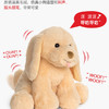 美国 Baby Gund狗狗声动小狗布丁毛绒玩偶玩具 送儿童女友生日礼物 1岁+ 商品缩略图3
