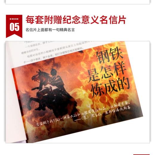 钢铁是怎样炼成的 名家名译版 商品图2