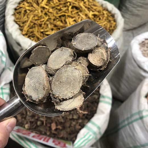莪术 常用规格 生莪术   切片 商品图3