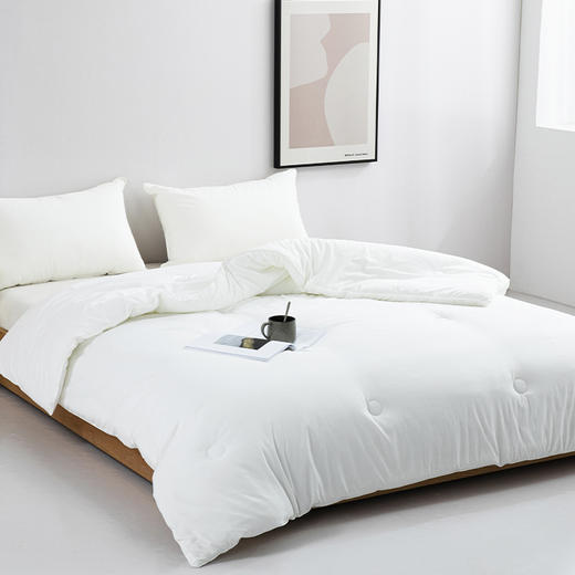 红蜻蜓 A类科技玉米纤维抱抱被春秋被芯加厚原棉保暖冬被-玉米软糯被 商品图1