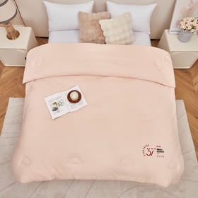 红蜻蜓 被子冬被双人纤维水晶绒被芯-热力绒冬被