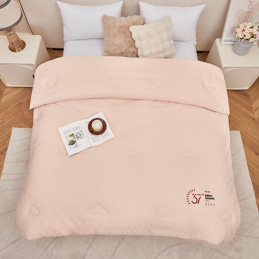 红蜻蜓 被子冬被双人纤维水晶绒被芯-热力绒冬被 商品图0