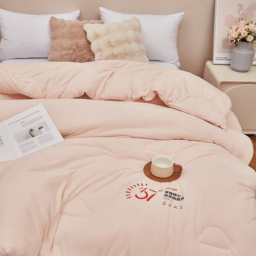 红蜻蜓 被子冬被双人纤维水晶绒被芯-热力绒冬被 商品图2