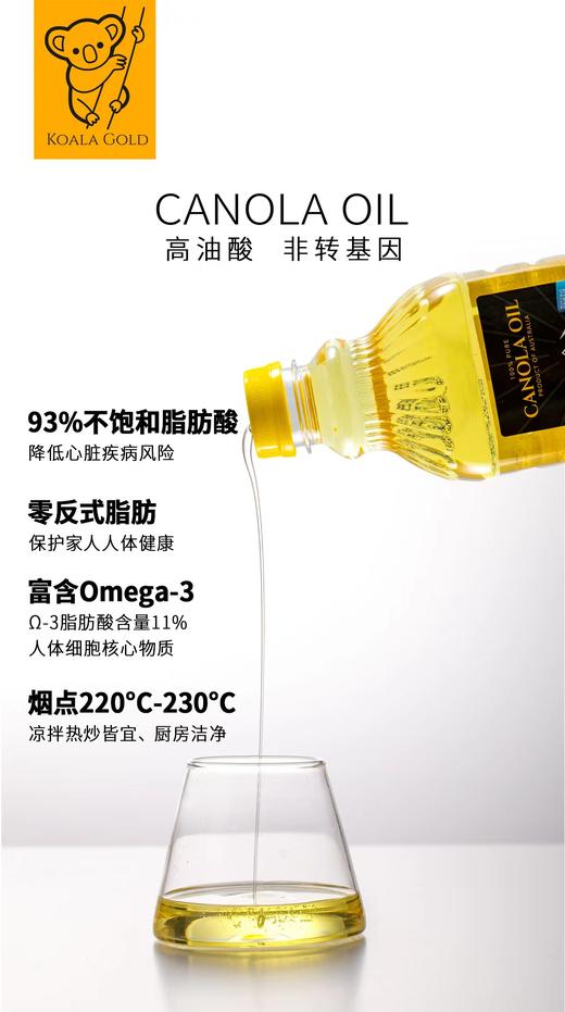 自用推荐！真正健康食用油！澳洲原装进口【KOALA GOLD金考拉芥花油】物理冷压榨工艺！非转基因丨0胆固醇！低芥酸＜0.1%、低油烟健康油！【品牌直发】 商品图6