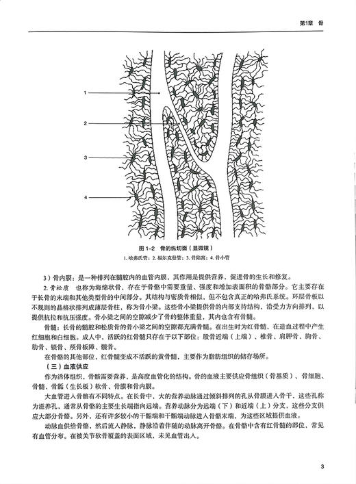 骨与关节影像 中文翻译版原书第8版 罗殿中 韦兴主译 骨与关节结构特征临床影像病理改变和创伤等内容 科学出版社9787030785039 商品图3