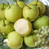 生态高原早蜜梨| 合作生产*Ecological plateau early honey pear| Partner Production 商品缩略图0