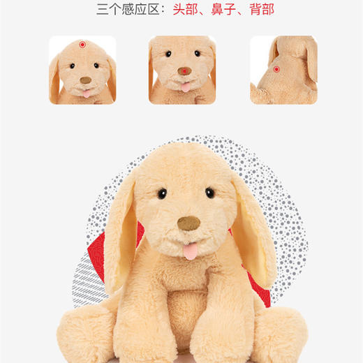 美国 Baby Gund狗狗声动小狗布丁毛绒玩偶玩具 送儿童女友生日礼物 1岁+ 商品图2