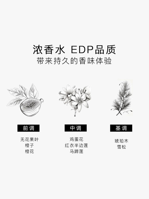 SG79｜N21 EDP 安伯伍德 [ 斯德哥尔摩的蹁跹_ 浓香 ] 商品图5