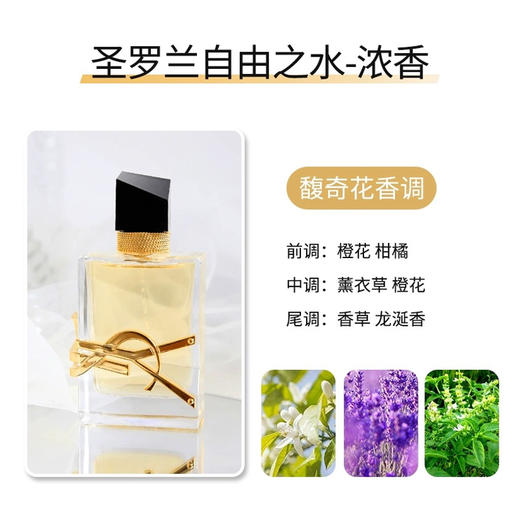 圣罗兰自由至上女士香水  50ml 浓香 商品图5