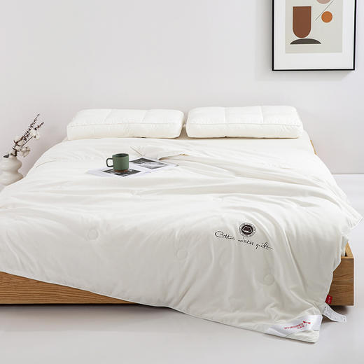 红蜻蜓 家纺春秋夏凉被空调被学生宿舍全棉花可水洗被芯-新疆棉花被 商品图0