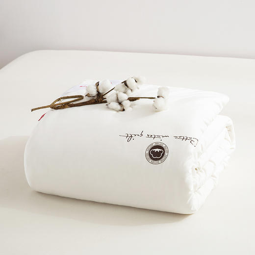 红蜻蜓 家纺春秋夏凉被空调被学生宿舍全棉花可水洗被芯-新疆棉花被 商品图1