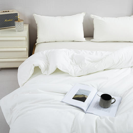 红蜻蜓 A类科技玉米纤维抱抱被春秋被芯加厚原棉保暖冬被-玉米软糯被 商品图3