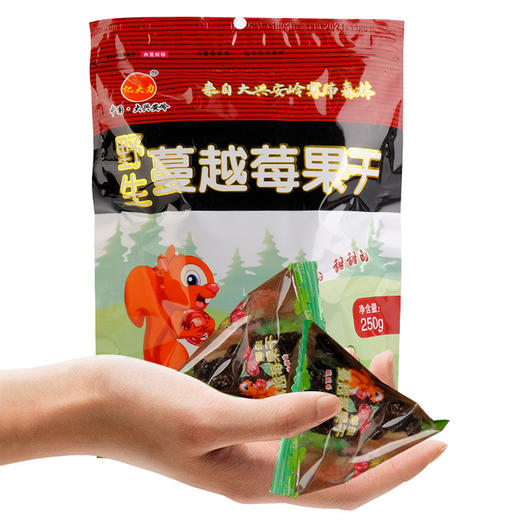 亿大力野生蔓越莓果干 商品图3