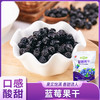 亿大力蓝莓果干 商品缩略图0