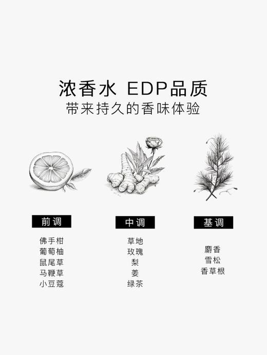 SG79｜N8 EDP 绿野青葱 [ 斯德哥尔摩的森林_ 浓香 ] 商品图2