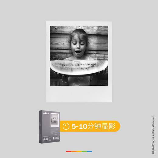 宝丽来（Polaroid）600型胶片 适用于600型相机、i-Type相机和NOW系列相机 商品图9