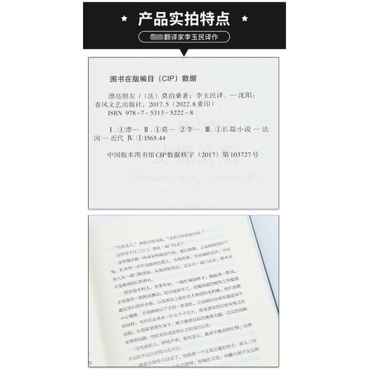 漂亮朋友 名家译本 商品图3