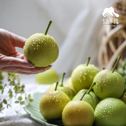 生态高原早蜜梨| 合作生产*Ecological plateau early honey pear| Partner Production 商品图5