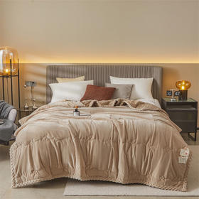 红蜻蜓 被子冬被双人纤维被芯-豆豆绒安抚被