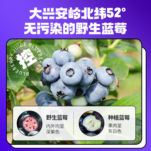 【冬季滋补】默小吉210ml蓝莓原浆，看手机电脑读书用眼孩子成人喝 商品图3