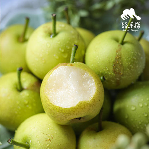 生态高原早蜜梨| 合作生产*Ecological plateau early honey pear| Partner Production 商品图2