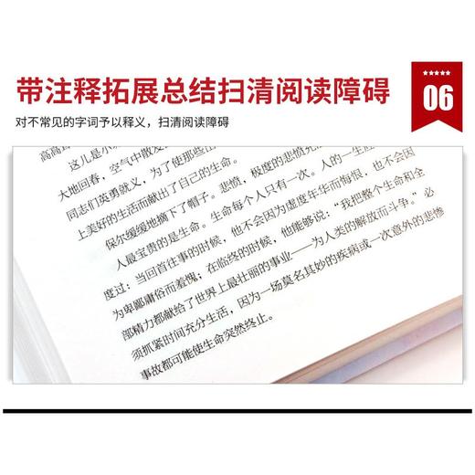 钢铁是怎样炼成的 名家名译版 商品图1