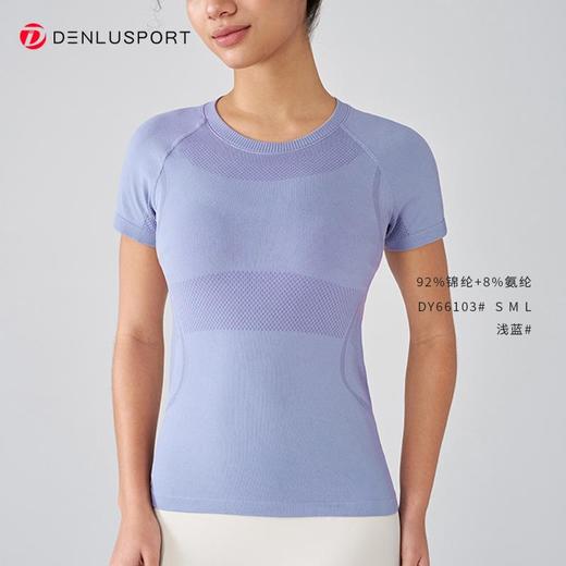 DENLUSPORT经典返单款无缝运动健身半袖DY66103#JY-DX-6672 商品图5