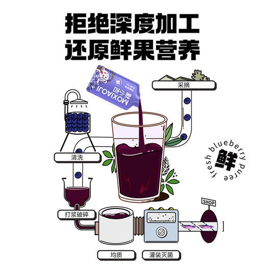 【冬季滋补】默小吉210ml蓝莓原浆，看手机电脑读书用眼孩子成人喝 商品图5