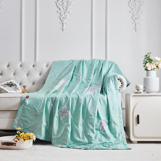 红蜻蜓 夏凉被-花溪 空调被春秋薄被子儿童午睡夏被夏季宿舍单人150*200cm 商品图0