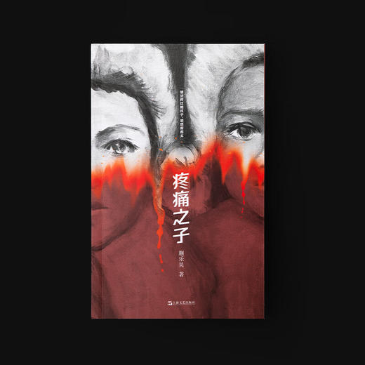 疼痛之子（《时间的仆人》作者蒯乐昊最新短篇小说集，一本“全龄段女性之书”，一封写给所有女性的情书） 商品图1