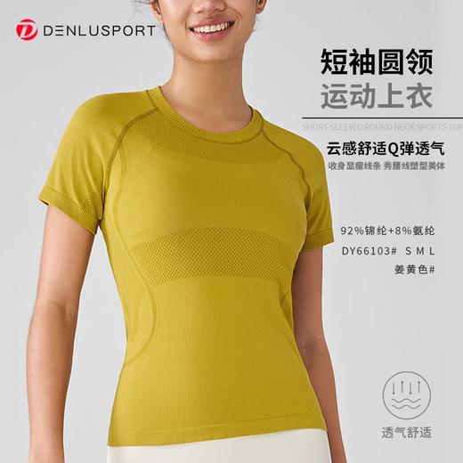 DENLUSPORT经典返单款无缝运动健身半袖DY66103#JY-DX-6672 商品图1