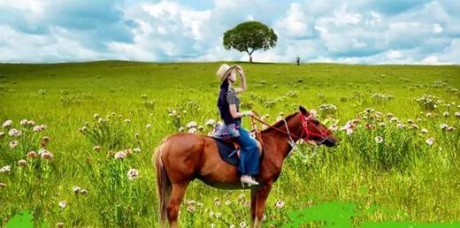 【亲子自驾】越野车穿越草原\沙地\森林\河流,深度\沉浸\小众,五星连住,饕餮大餐|6~15岁亲子 商品图1