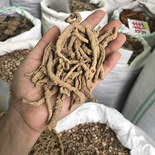 生远志  炙粗筒远志 抽心 商品图4