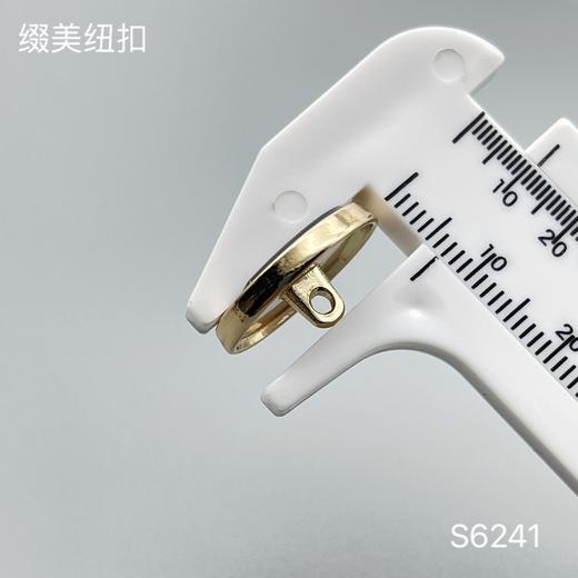 S6241 商品图3